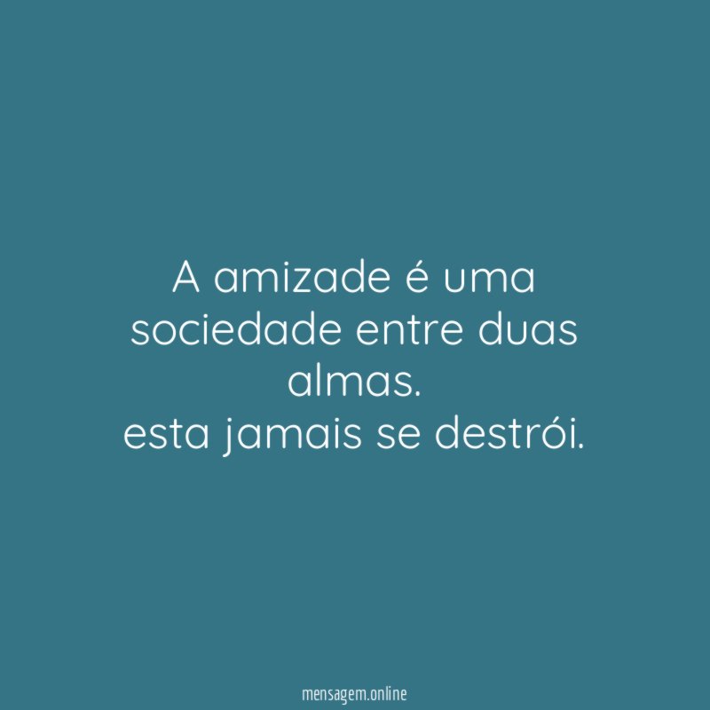A amizade é uma sociedade entre duas almas