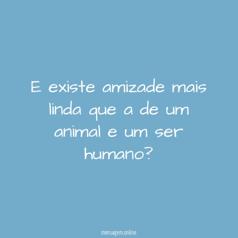 E existe amizade mais linda que a de