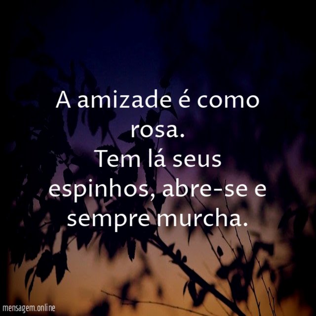 A amizade é como rosa
