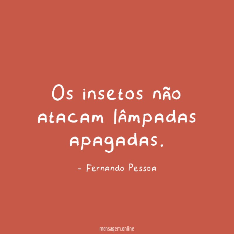 Os insetos não atacam lâmpadas apagadas