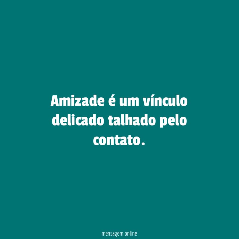 Amizade é um vínculo delicado talhado pelo contato