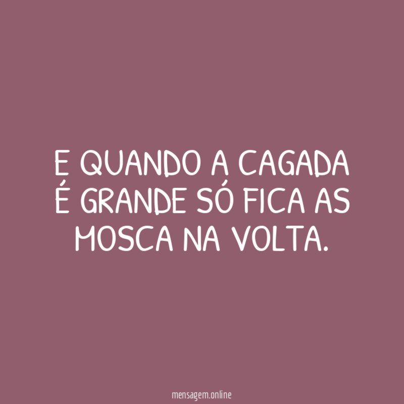 E QUANDO A CAGADA É GRANDE SÓ FICA AS MOSCA NA VOLTA
