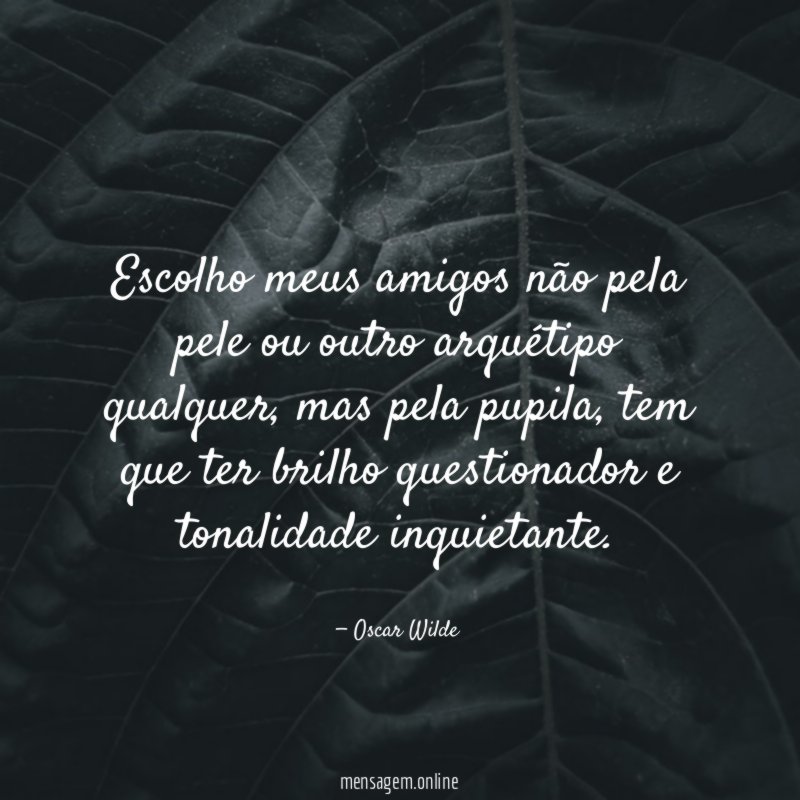 Escolho meus amigos não pela pele ou outro arquétipo qualquer