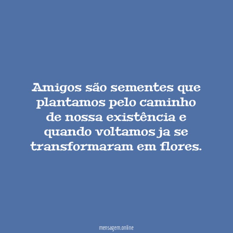 Amigos são sementes que plantamos pelo caminho de