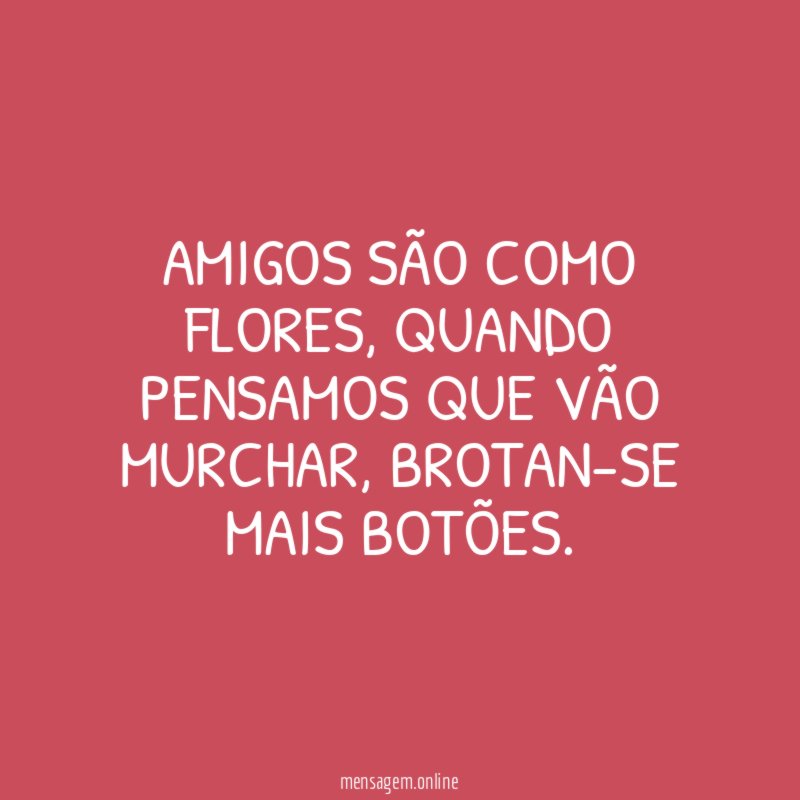 Amigos são como flores