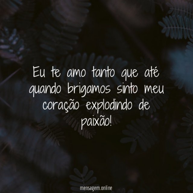 Eu te amo tanto que até quando brigamos