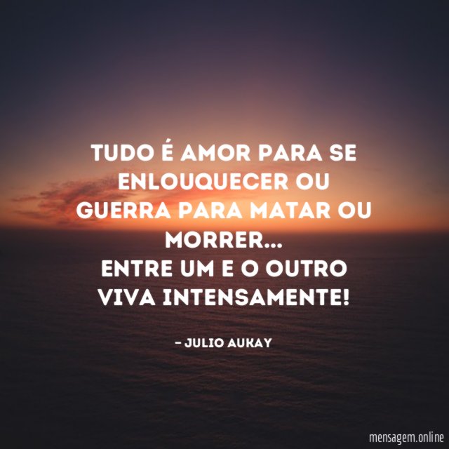 Tudo é amor para se enlouquecer ou Guerra para matar ou morrer