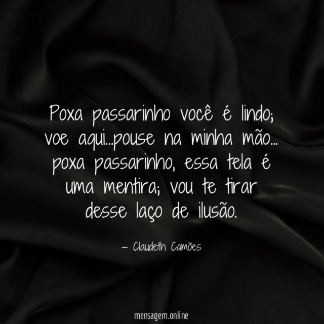 Poxa passarinho você é lindo