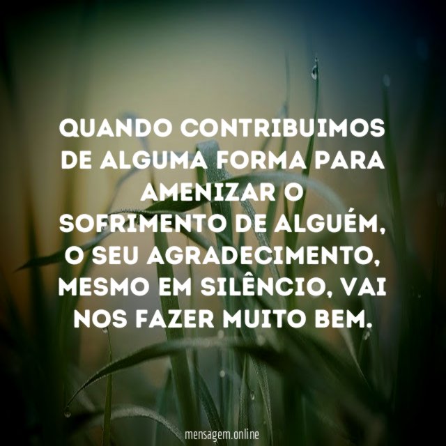 Quando contribuimos de alguma forma para amenizar o sofrimento de alguém