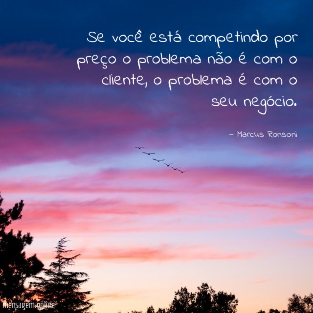Se você está competindo por preço o problema