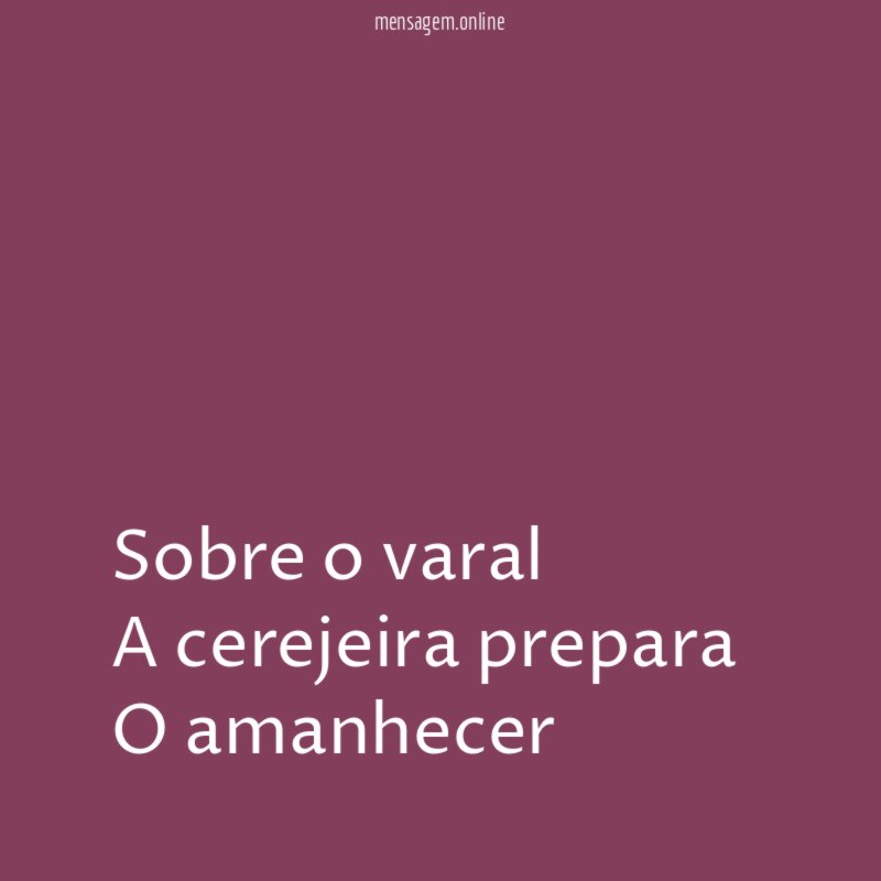 Sobre o varal A cerejeira prepara O amanhecer