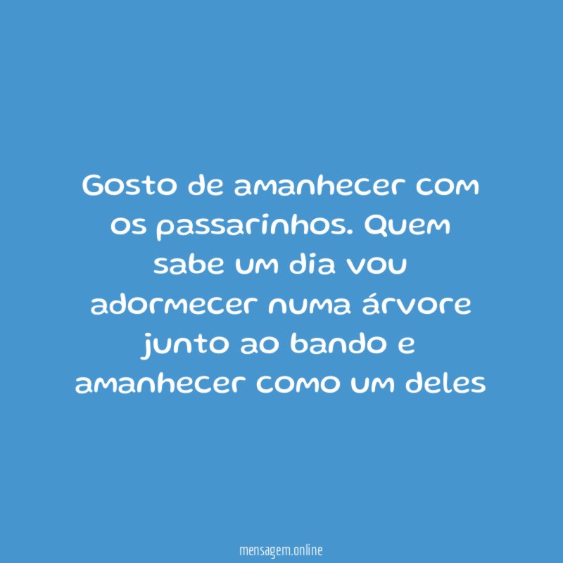 Gosto de amanhecer com os passarinhos