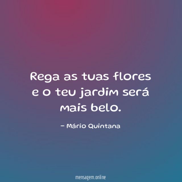 Rega as tuas flores e o teu jardim será mais belo