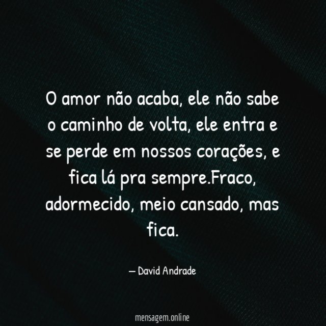 O amor não acaba
