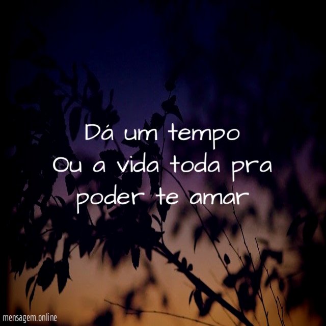 Dá um tempo Ou a vida toda pra poder te amar