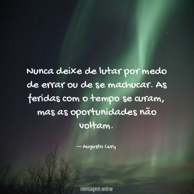 Nunca deixe de lutar por medo de errar ou de se machucar