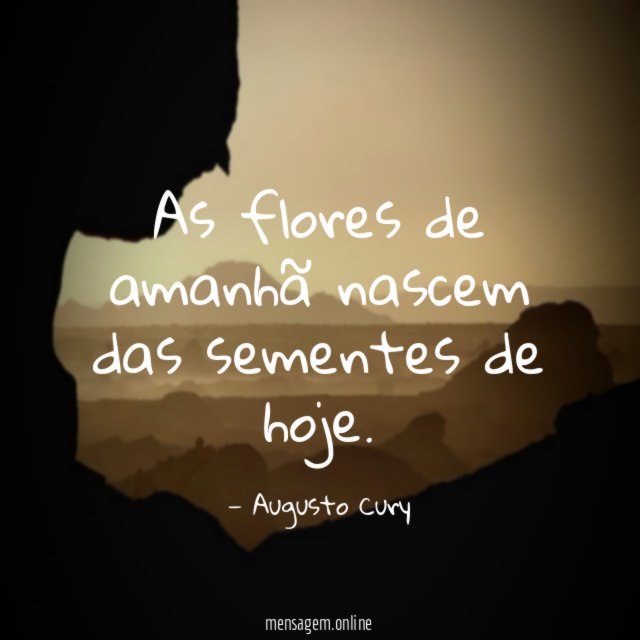 As flores de amanhã nascem das sementes de hoje