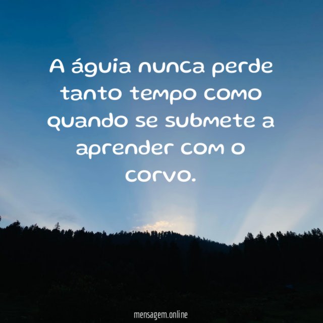 A águia nunca perde tanto tempo como quando