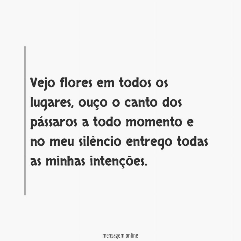 Vejo flores em todos os lugares