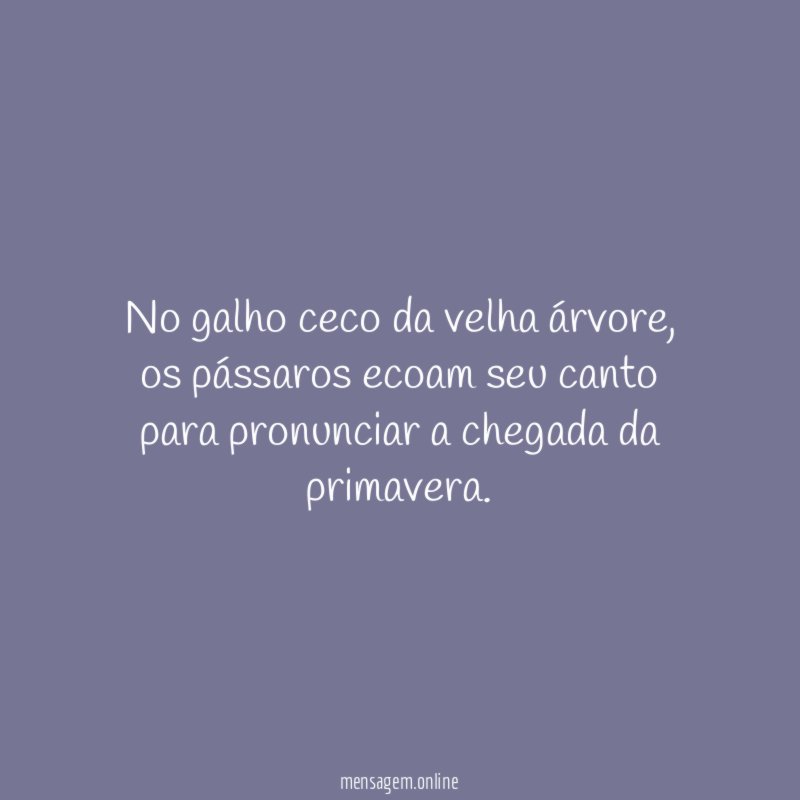 No galho ceco da velha árvore