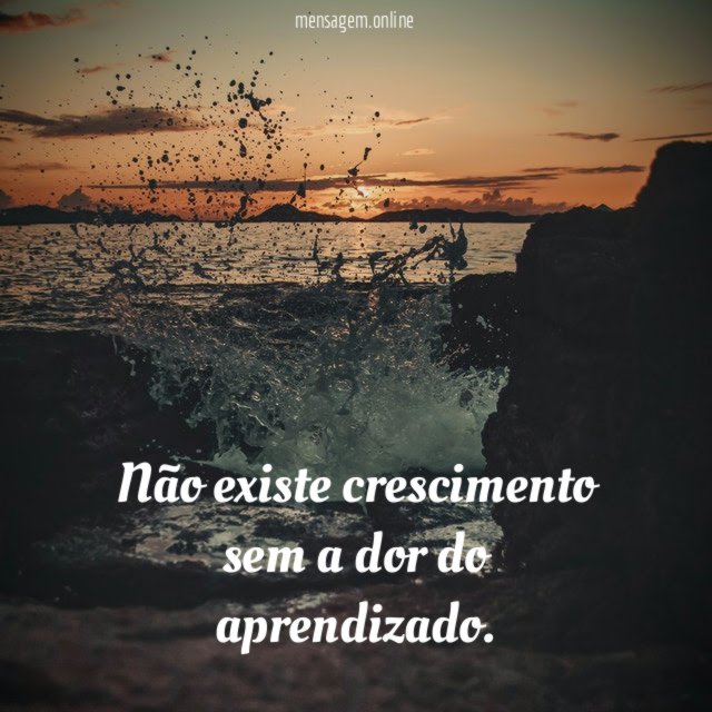 Não existe crescimento sem a dor do aprendizado