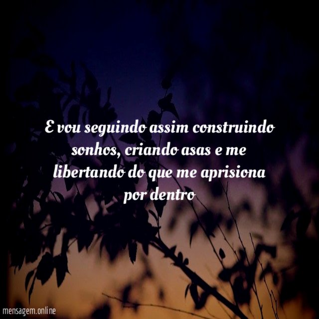 E vou seguindo assim construindo sonhos