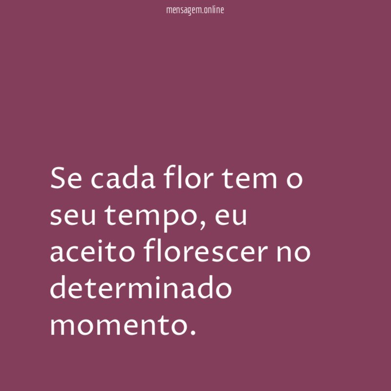 Se cada flor tem o seu tempo