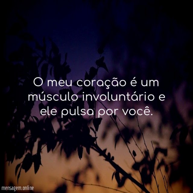 O meu coração é um músculo involuntário