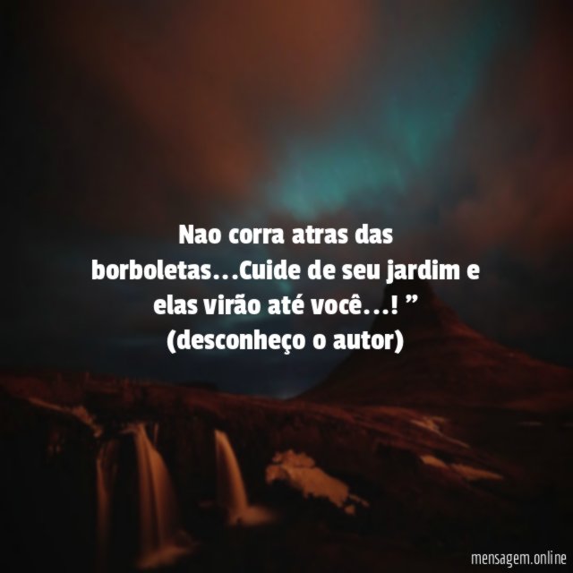 Nao corra atras das borboletas
