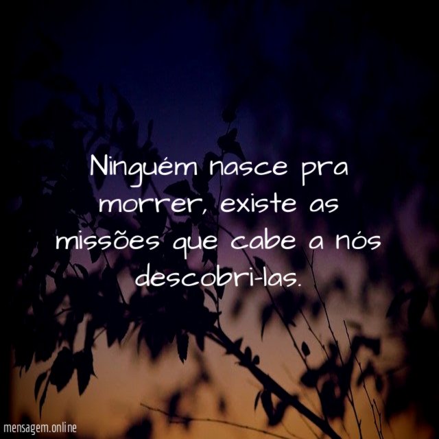 Ninguém nasce pra morrer