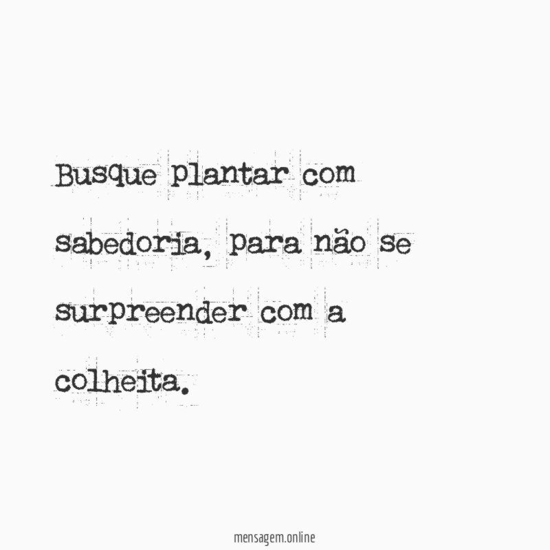 Busque plantar com sabedoria