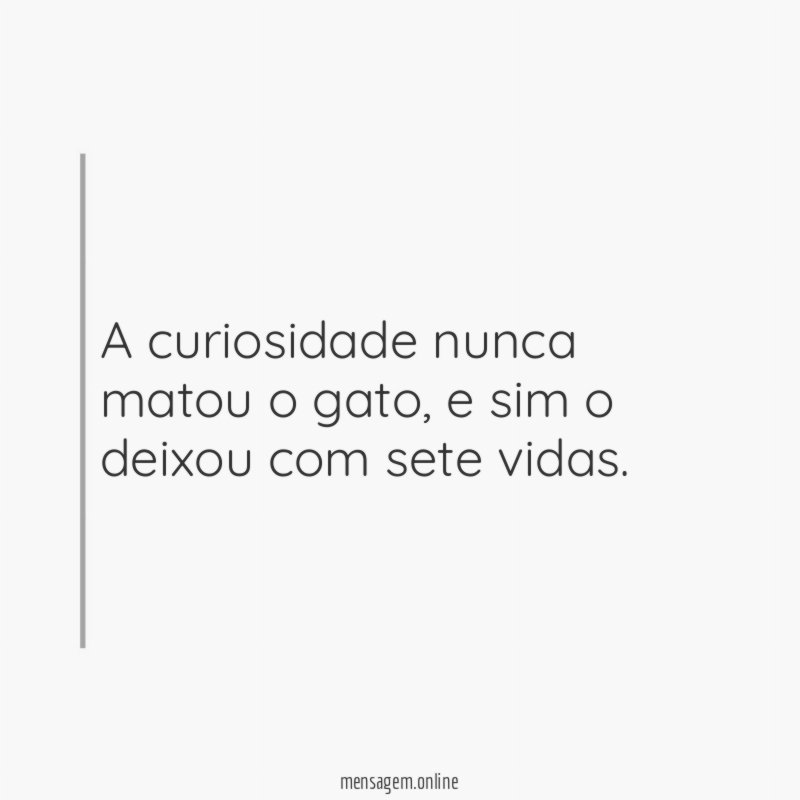 A curiosidade nunca matou o gato