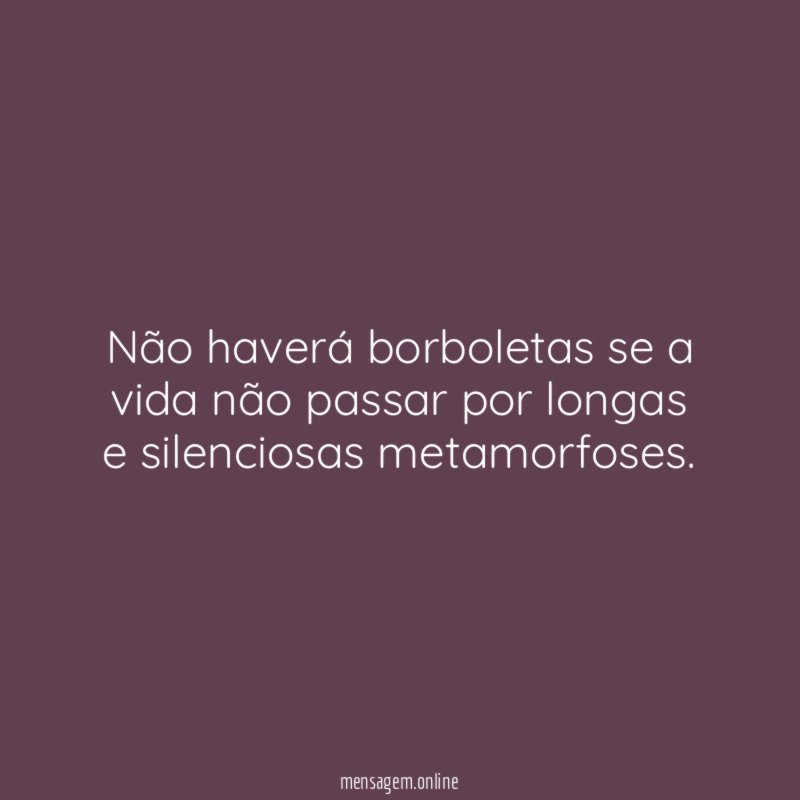 Não haverá borboletas se a vida não passar