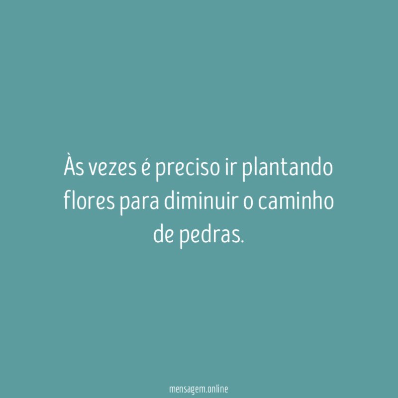 Às vezes é preciso ir plantando flores para diminuir o caminho de pedras
