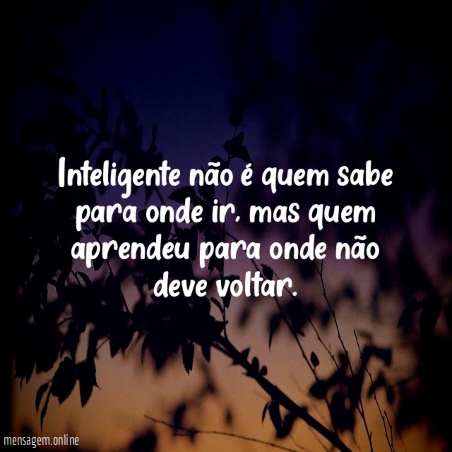 Inteligente não é quem sabe para onde ir