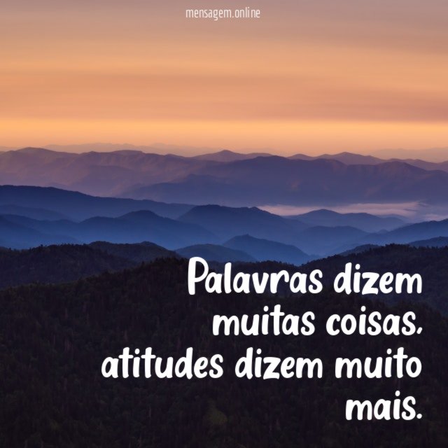 Palavras dizem muitas coisas