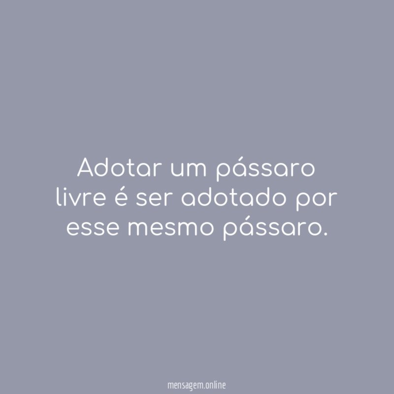 Adotar um pássaro livre é ser adotado por esse mesmo pássaro