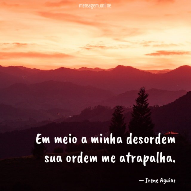 Em meio a minha desordem sua ordem me atrapalha