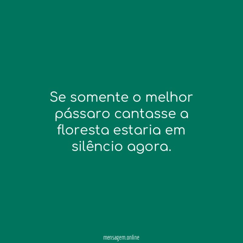 Se somente o melhor pássaro cantasse a floresta