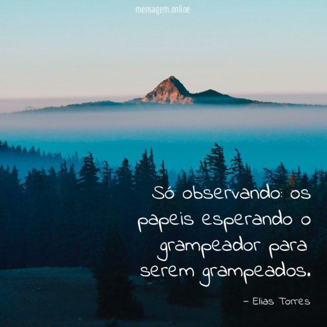 Só observando