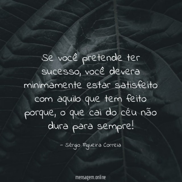 Se você pretende ter sucesso