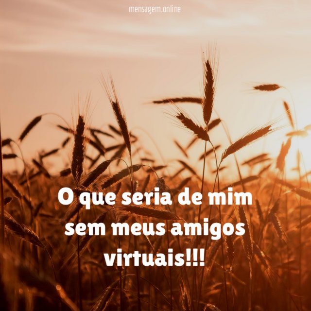 o que seria de mim sem meus amigos virtuais