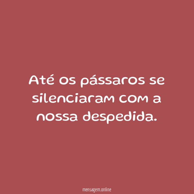 Até os pássaros se silenciaram com a nossa despedida