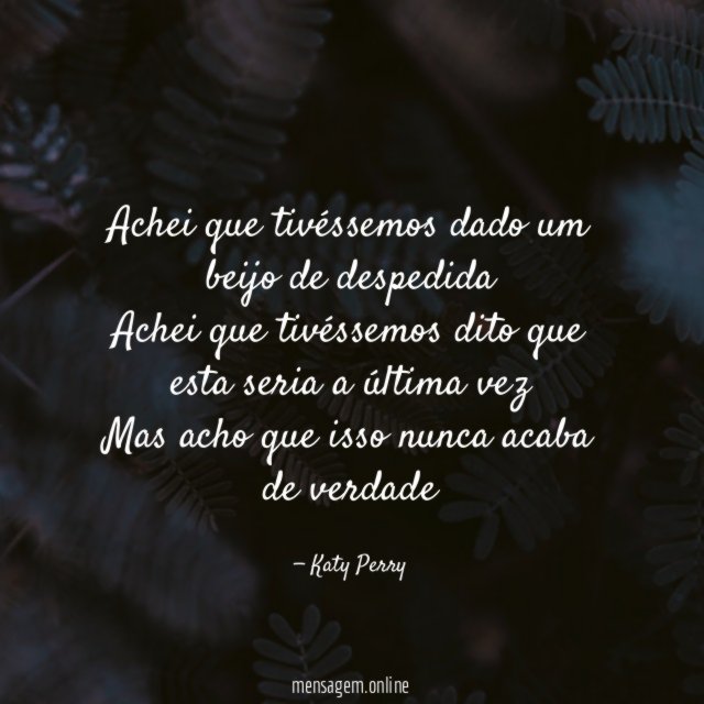 Achei que tivéssemos dado um beijo de despedida Achei