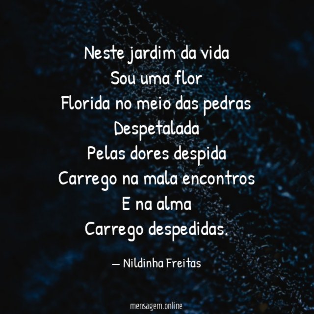 Neste jardim da vida Sou uma flor Florida no meio