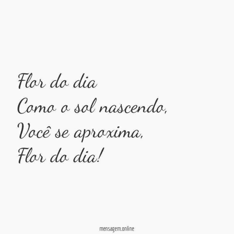 Flor do dia
