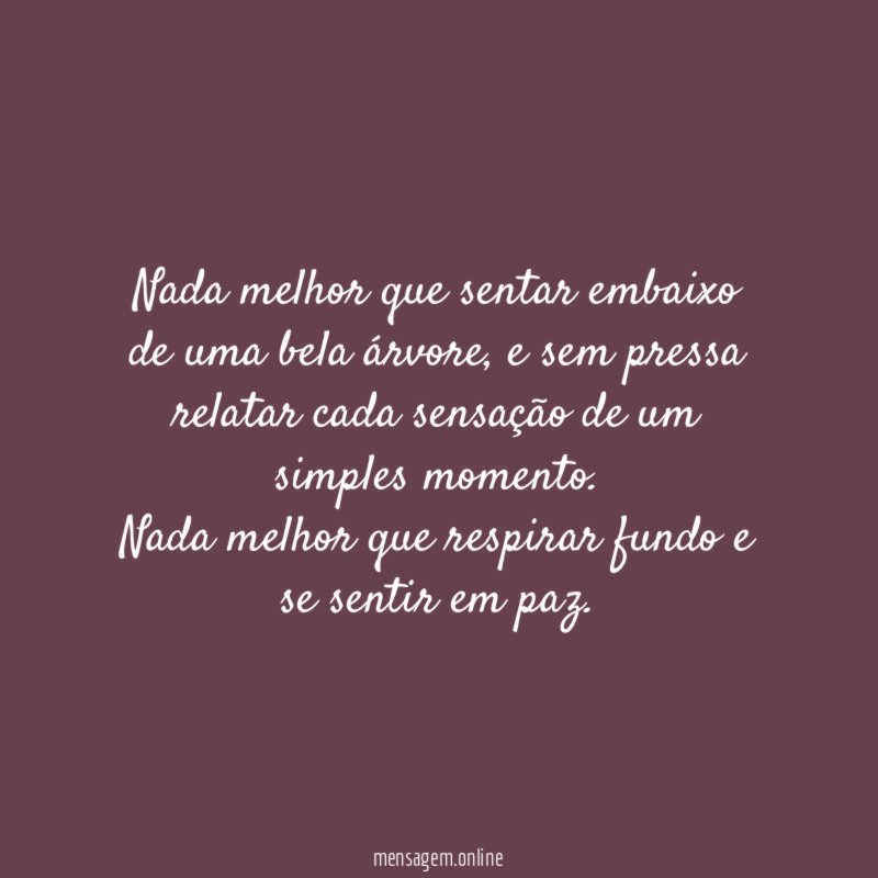 Nada melhor que sentar embaixo de uma bela árvore