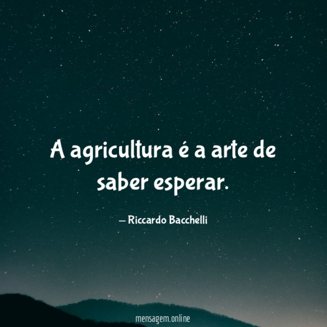 A agricultura é a arte de saber esperar