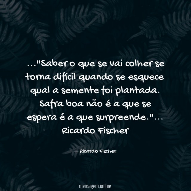 Saber o que se vai colher se torna