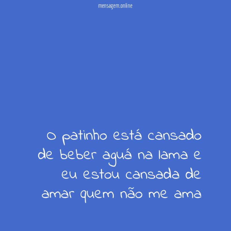 O patinho está cansado de beber aguá na